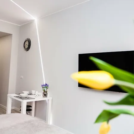 Novel * Варшава